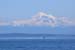 DSC_1005 (70)
