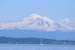 DSC_1005 (91)