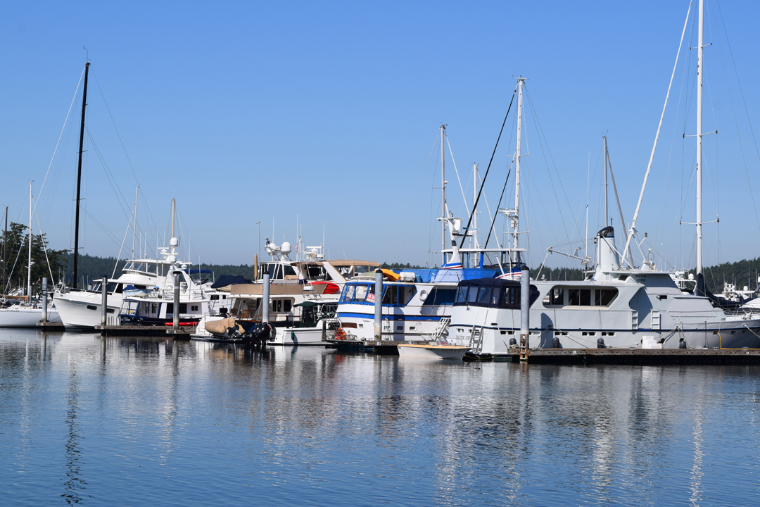 DSC_1001 (1)