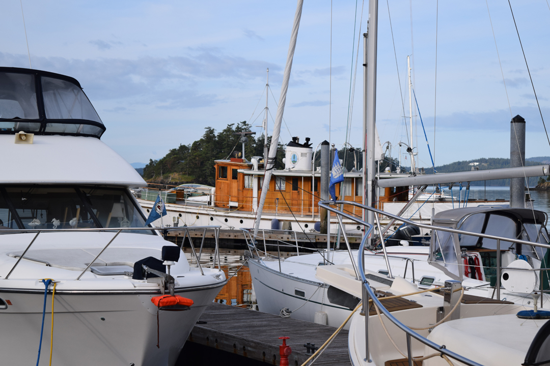DSC_1001 (12)