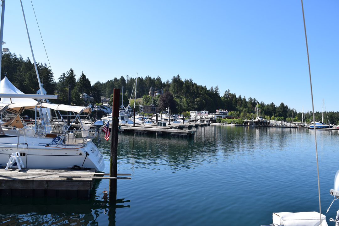 DSC_1001 (5)