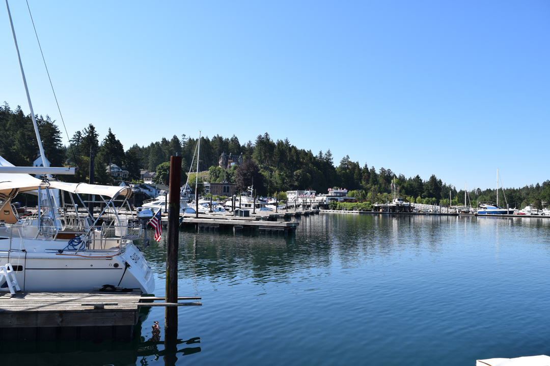 DSC_1001 (6)