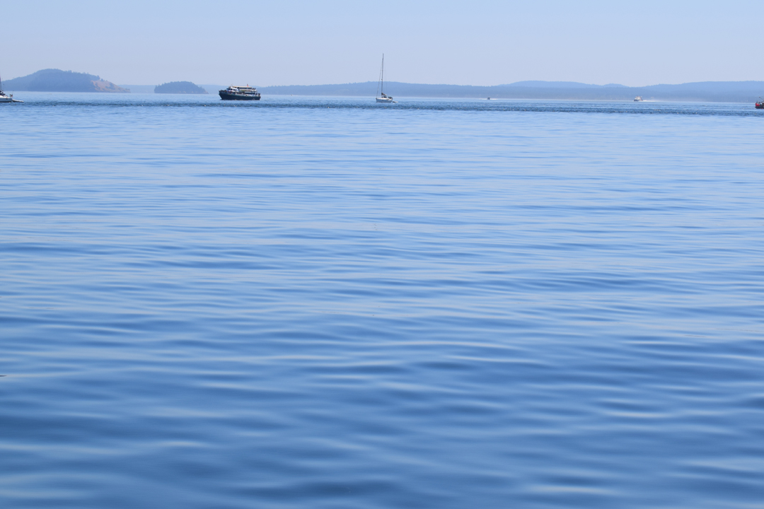 DSC_0346